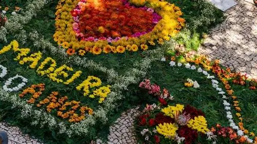 Цветы и природные бассейны, чтобы насладиться Мадейрой весной