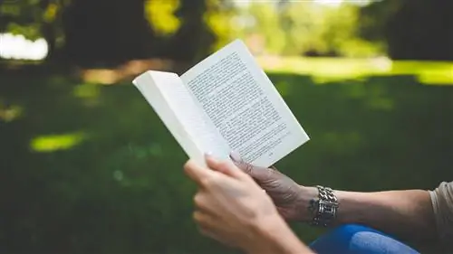читать книгу