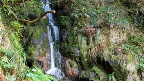 Левада дас 25 шрифтов