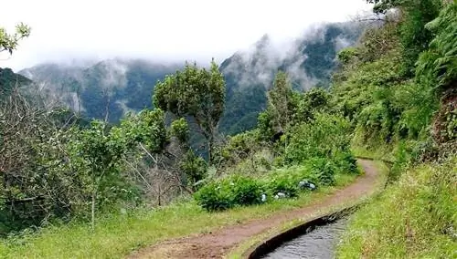 Левада Рибейра да Джанела