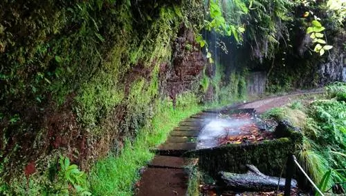 Левада-ду-Рей