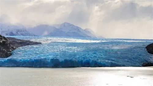 Серый ледник