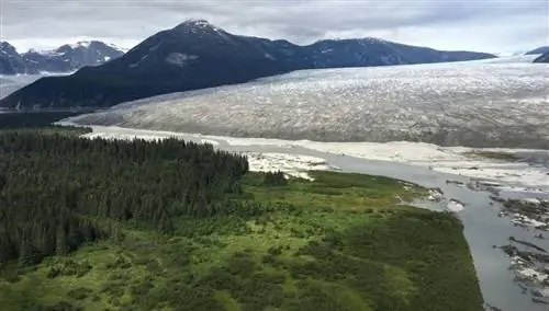 Ледник Таку