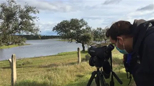 4 причины посетить 2 биосферных заповедника Касереса в ноябре