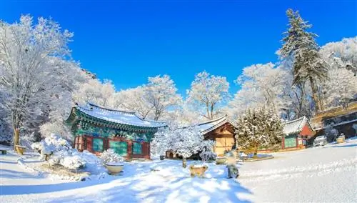 Южная Корея