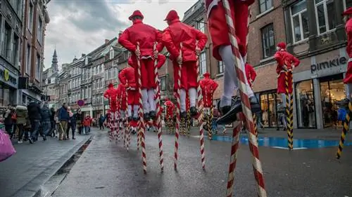 Комары в Намюре