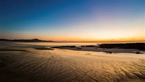 Пляж. Устье реки Сиейра