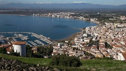 Панорама роз