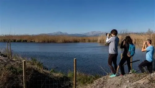 Наблюдение за птицами на Майорке