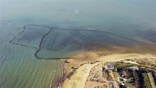 Загоны Чипионы