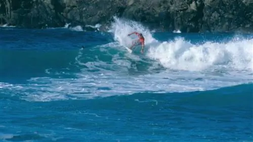 Классический Пантин