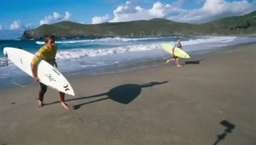 Классический Пантин