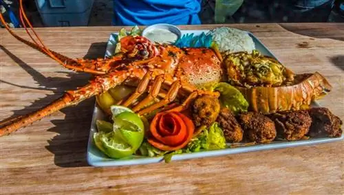 Омар. Белиз