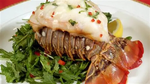 Экологичная гастрономия - растущая концепция в Центральной Америке и Доминиканской Республике