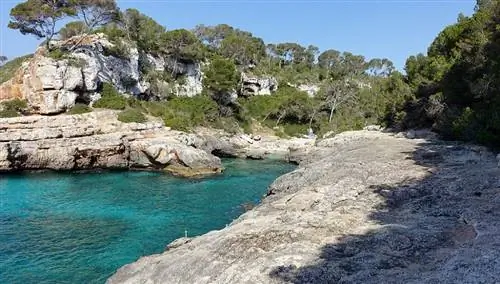 Кала-с'Альмуния