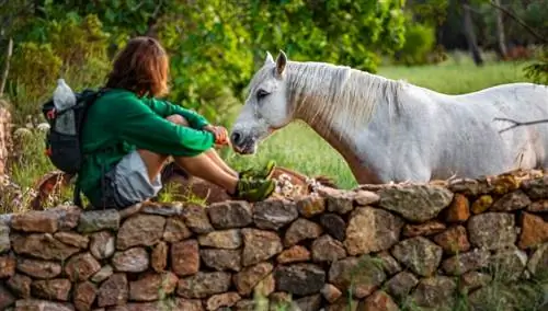 Крытая природа, маршруты верхом или пешком