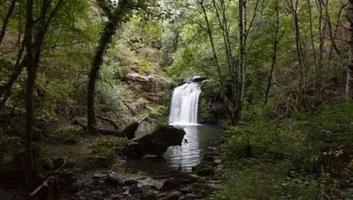 Фрага да Марронда