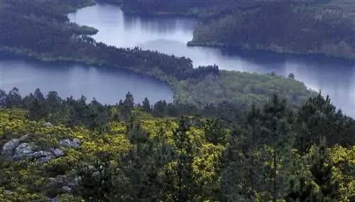 Фрагас дель Эуме