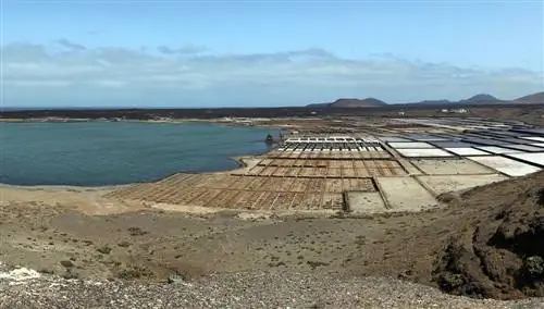 Соляные равнины Янубио