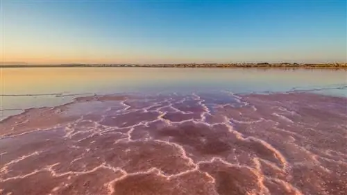 Знаете ли вы, какие и где находятся лучшие солончаки в Испании?