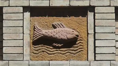 Улица Пез, Мадрид