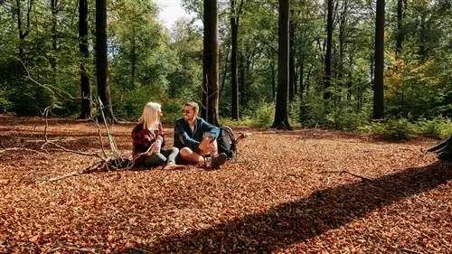 Знаете ли вы, что такое лесное купание и где им можно насладиться?