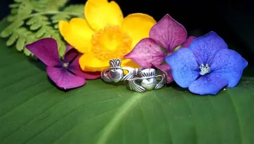 Кладдахское кольцо