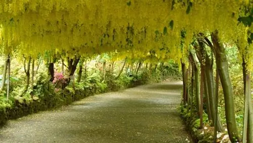 Природа Уэльса