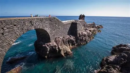 Зеленый коридор: стремление Мадейры восстановить туризм как можно скорее