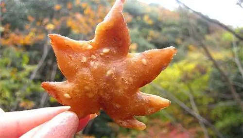 Кленовый лист темпура