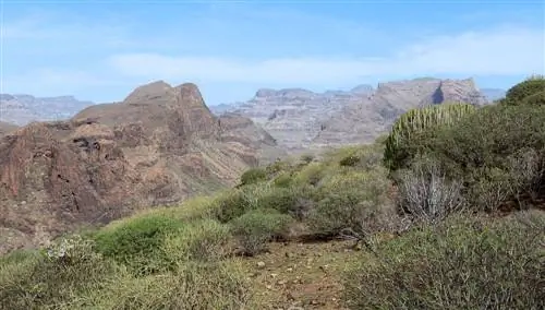 Гран-Канария