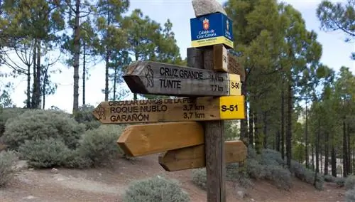 Дорога Сантьяго. Гран-Канария