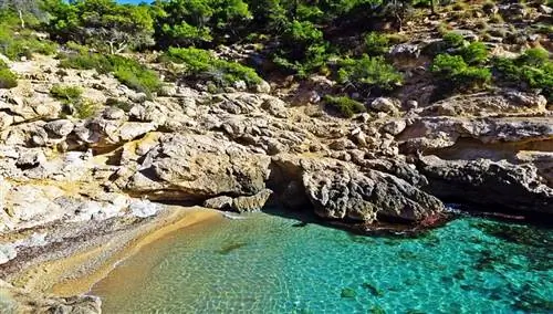 Кала Рако дель Кониль