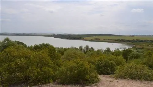 Медина Лагуна