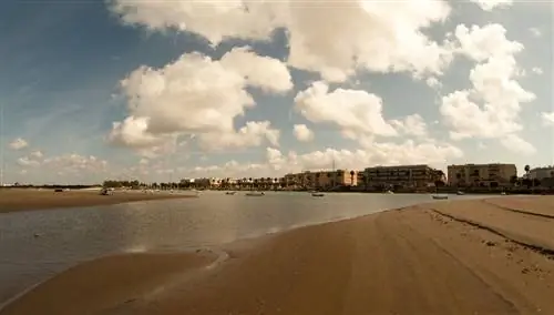 Лос Торунос