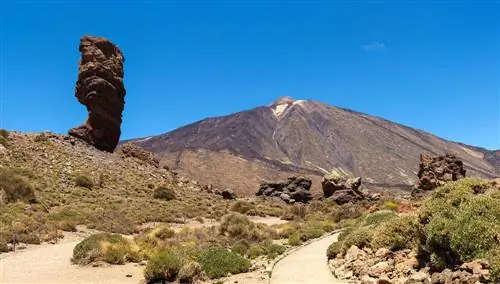 Канарские острова