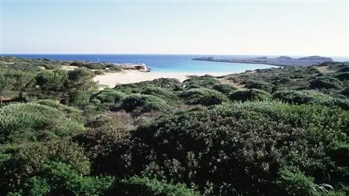 Вы ищете план экотуризма? Летите на Менорку! (как только сможешь)