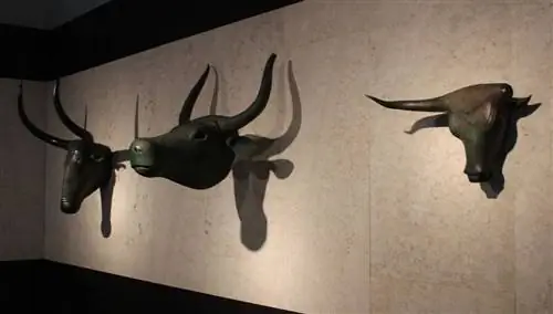 Быки Костикс