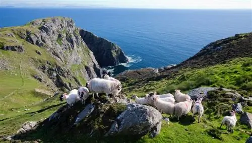 Скалы Слив-Лиги