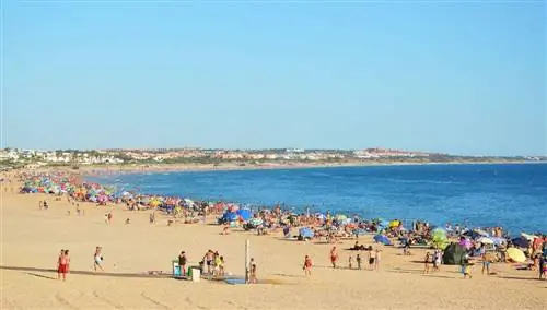Барроса