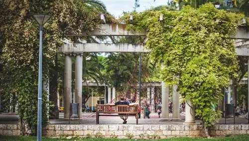 Ладонь