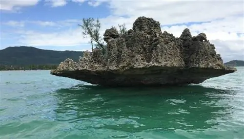 Остров Морис Остров Морис