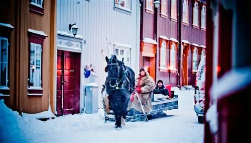 Рождество в Рососе, Норвегия.