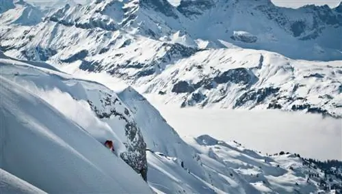 Большая пятерка. Эгельгерг