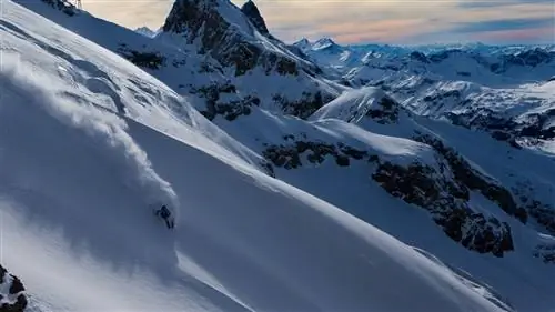 Снежные приключения в Швейцарии Осмелитесь ли вы вместе с Большой пятеркой фрирайда?