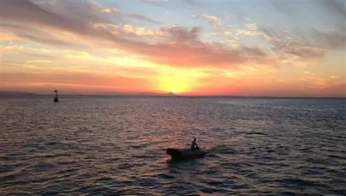 красное море