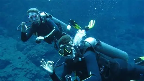 5 идеальных мест для любителей дайвинга