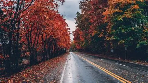 Места в Испании, которые стоит посетить осенью