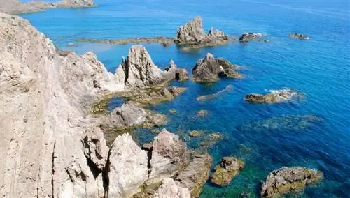 Русалочка Риф