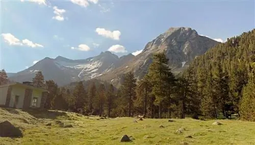 План Сенарты